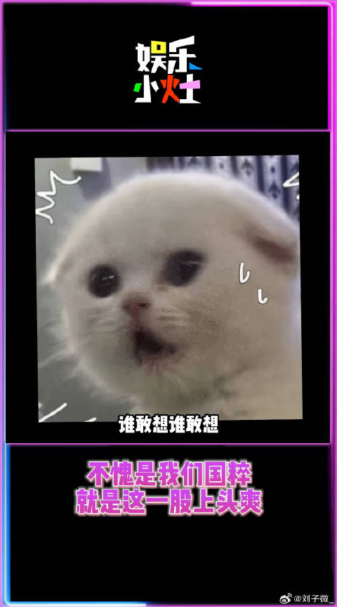 水上搓麻也太爽了叭，嗨翻全场！欢乐麻将十一周年庆