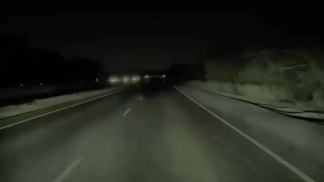 博主汇总FSD避让动物场景，涉及驼鹿鳄鱼等十余物种