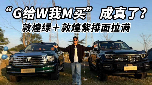G给W我M买成真了？敦煌绿＋敦煌紫排面拉满
