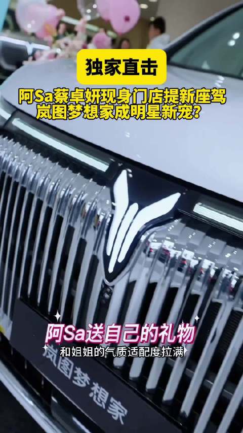 阿Sa提新座驾岚图梦想家