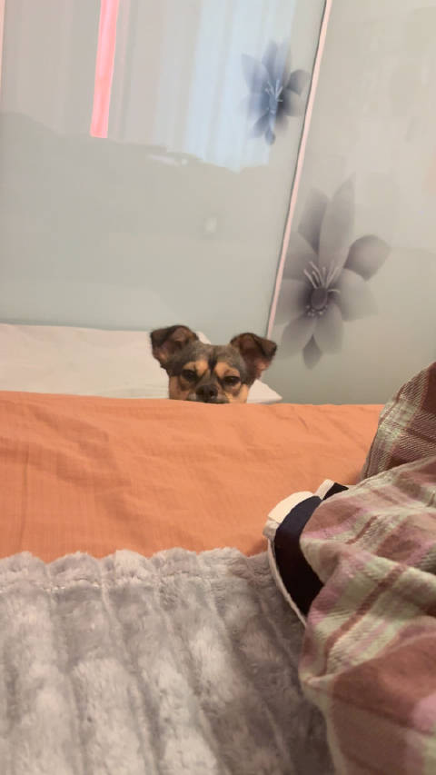 像我妈看我在床上躺了一天滴米未进之后说我是寄生虫的样子