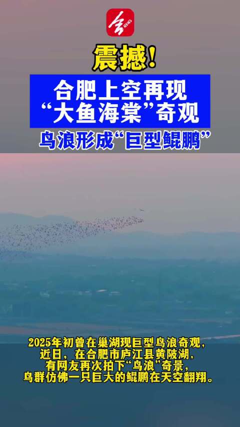合肥上空再现大鱼海棠奇观