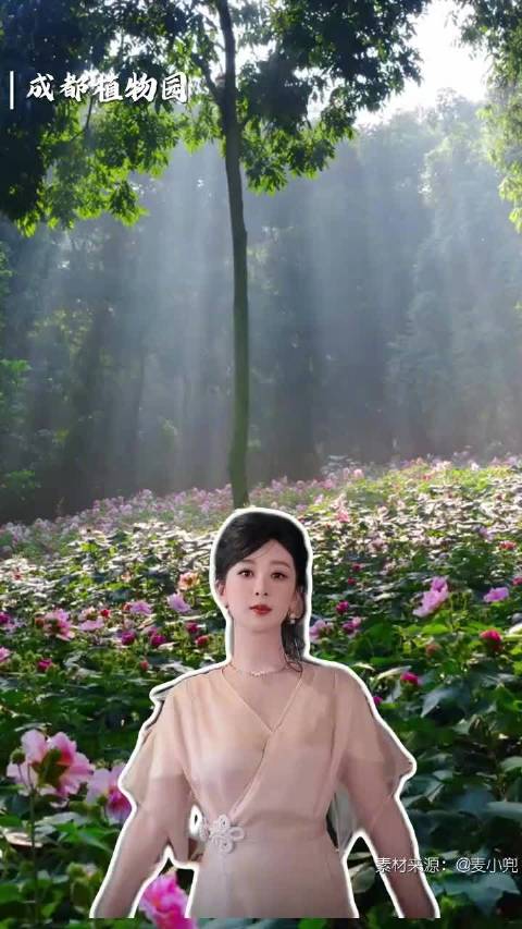 现在就出发！跟着杨紫游成都