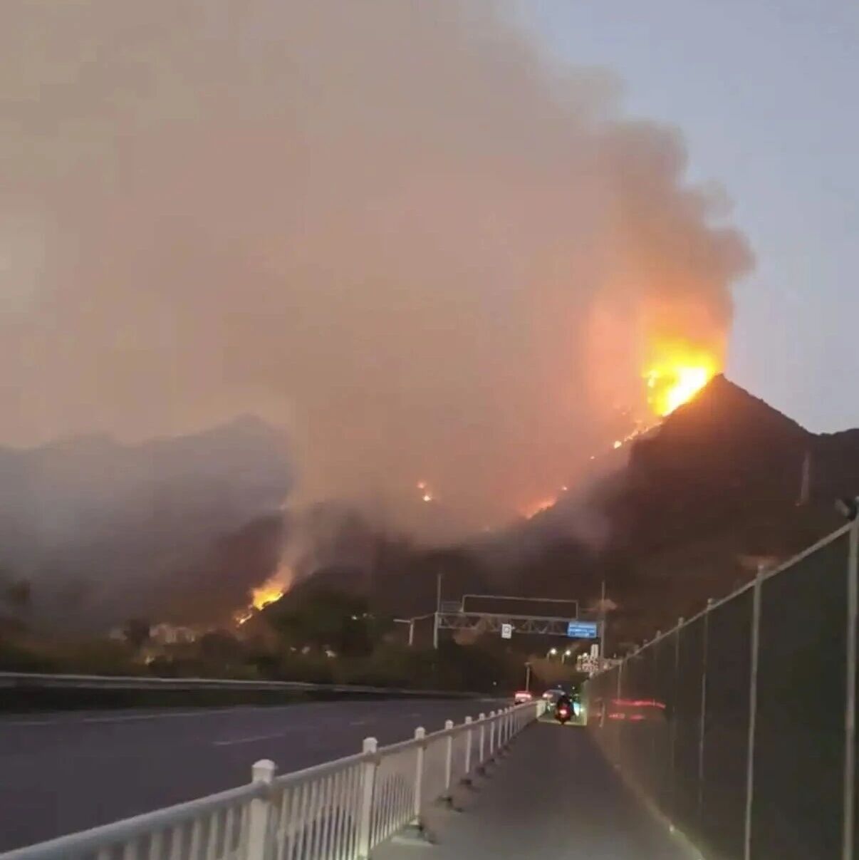 浙江温州瑞安市发生山火，当地通报：其中1条火线已被扑灭，整体火势得到初步控制