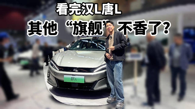 看完汉L唐L，其他“旗舰”突然不香了？