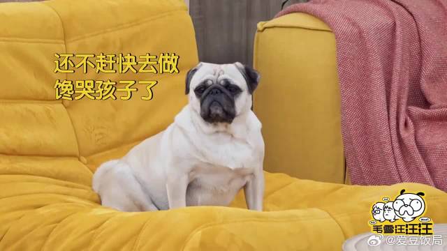 华晨宇有多爱吃火锅？去张歆艺家做客，能吃一晚上火锅