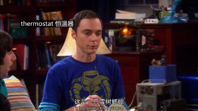 谢尔顿为了一只蟋蟀和霍华德吵翻天