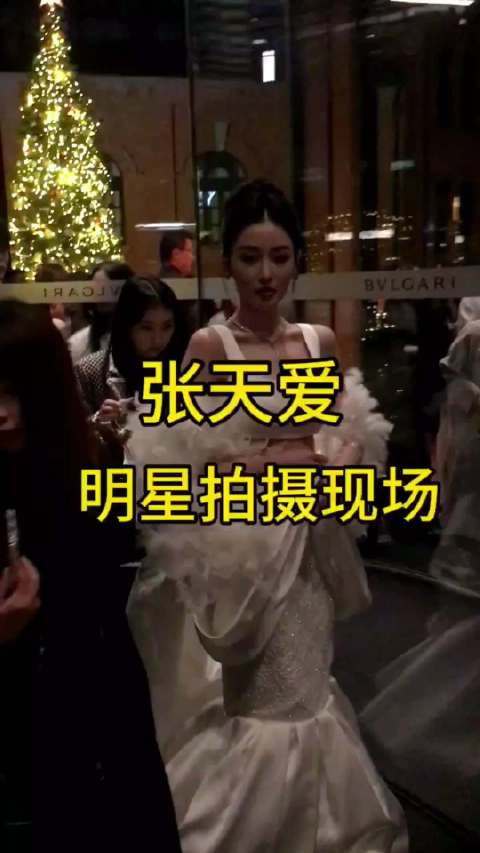 张天爱，上海宝格丽酒店亮灯仪式