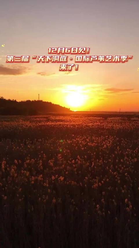 12月6日见！第三届“天下洞庭·国际芦苇艺术季”来了！