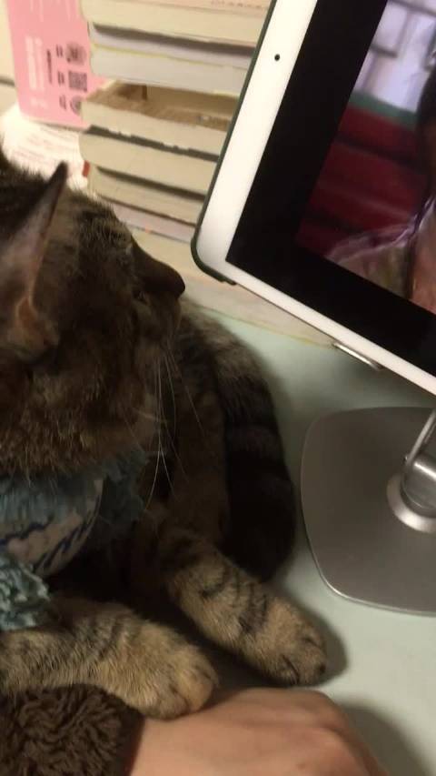 她在看还珠格格 而且还好看得这么近可惜不识字 读不懂弹幕在说什么