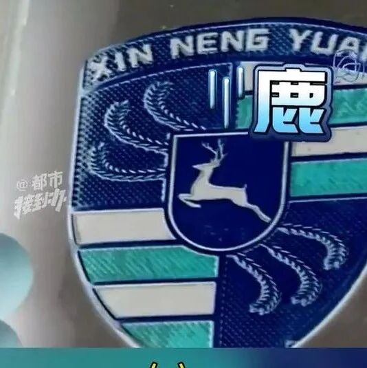 大爷花2万多网购“高配卡宴”，到手变“保时捷鹿”，厂家回应