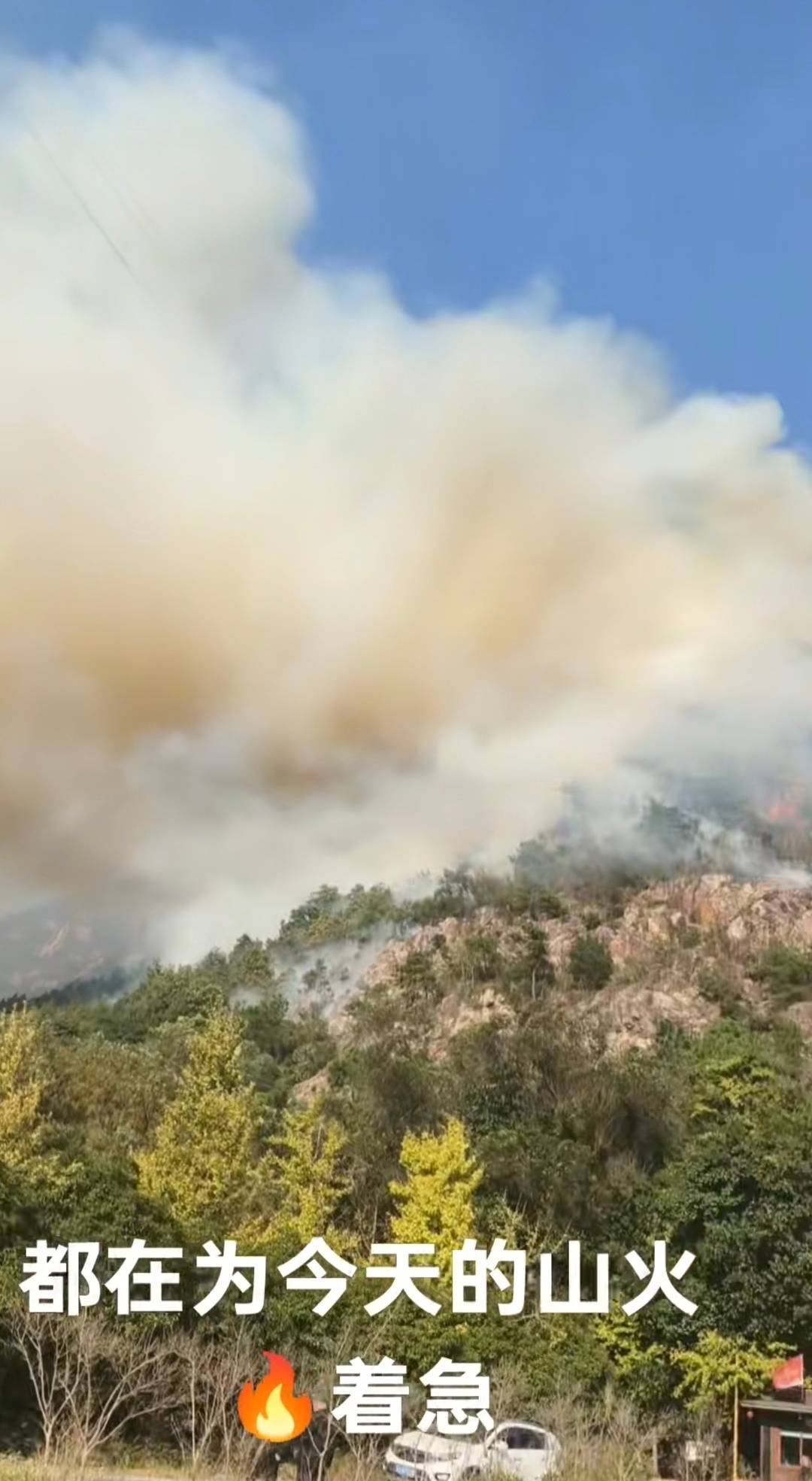 浙江温州瑞安发生山火，当地应急局：明火已灭无伤亡