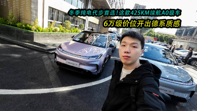 极狐T1上市，425KM冬季续航德系质感亲民价