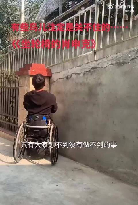 《坐轮椅的肖申克》：有些鸟儿注定是关不住的