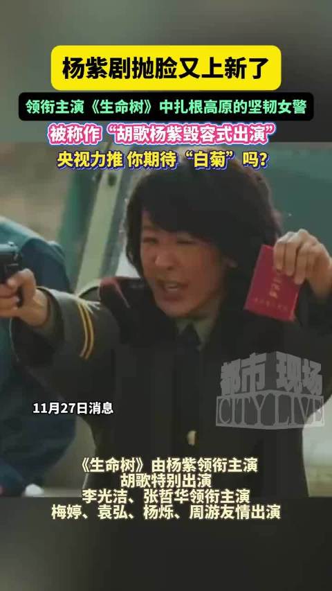 杨紫生命树演高原女警