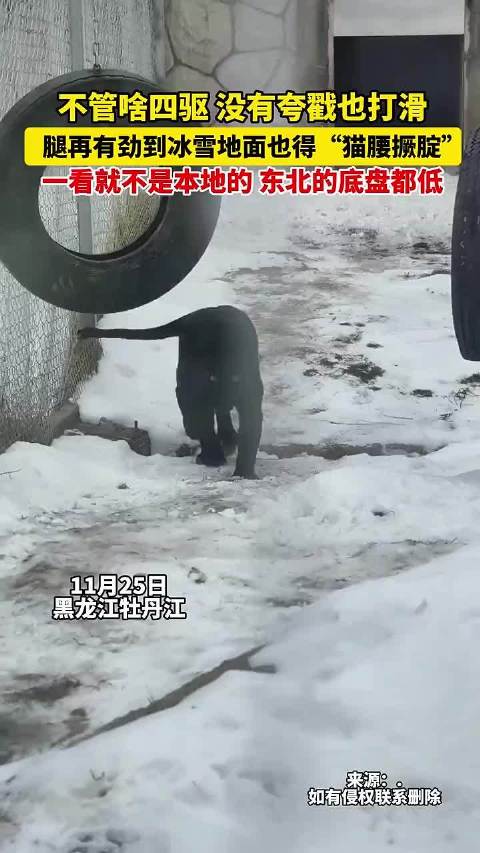 冰雪路面四驱打滑，东北司机笑称外地车底盘高
