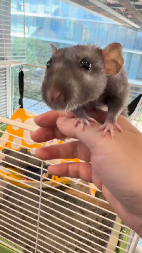 上班时间当我面想越狱！