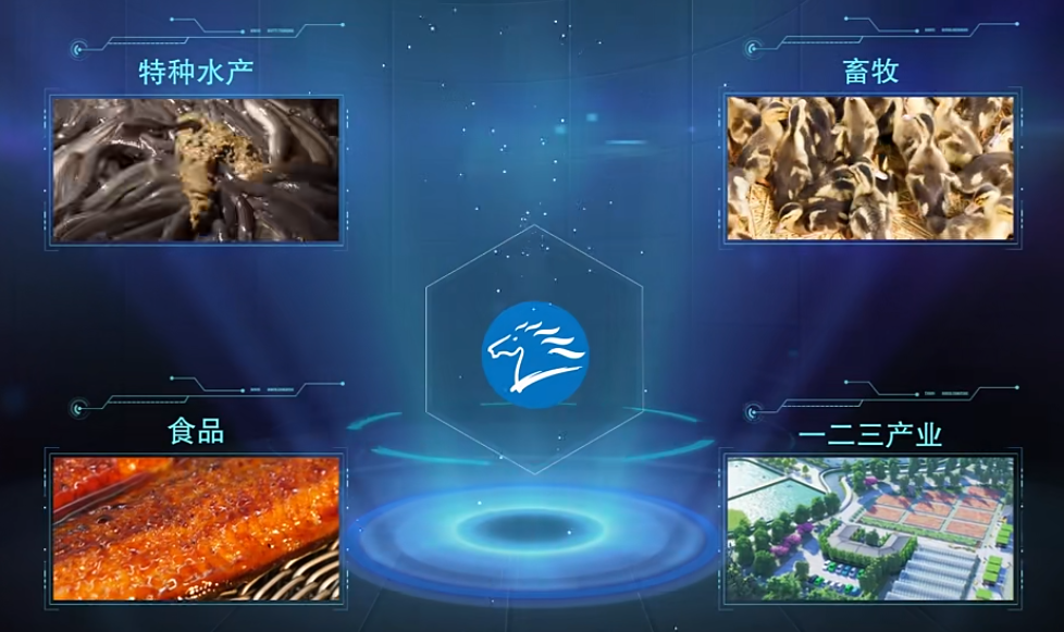 图片来源：天马科技官方宣传片截图