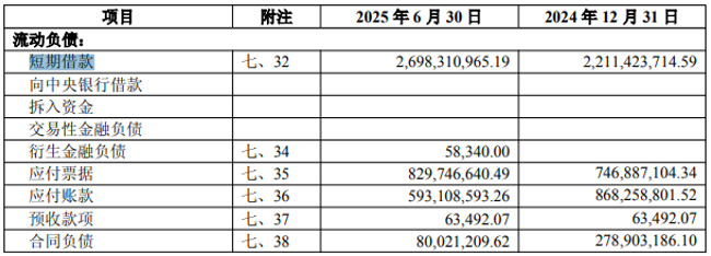 图片来源：天马科技2025年半年度报告