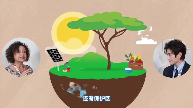 丁禹兮COP30联合国新闻特派员 再度上线！