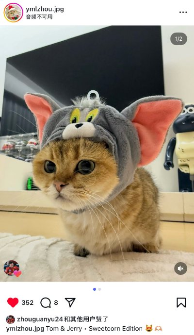 小周晒出了玉公主今日的ootd& 转自 周冠宇&玉米粒 ins