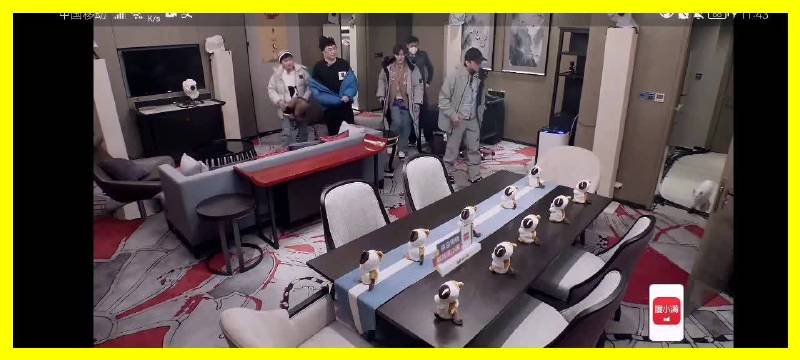 鹿晗王勉与喵星人互动名场面引热议