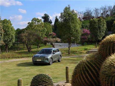 红旗HS6对比理想L6，谁才是真正的“全家舒适座驾”