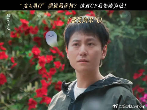 实锤了！悬崖村的男嘉宾人均耙(怕)耳(老)朵(婆)