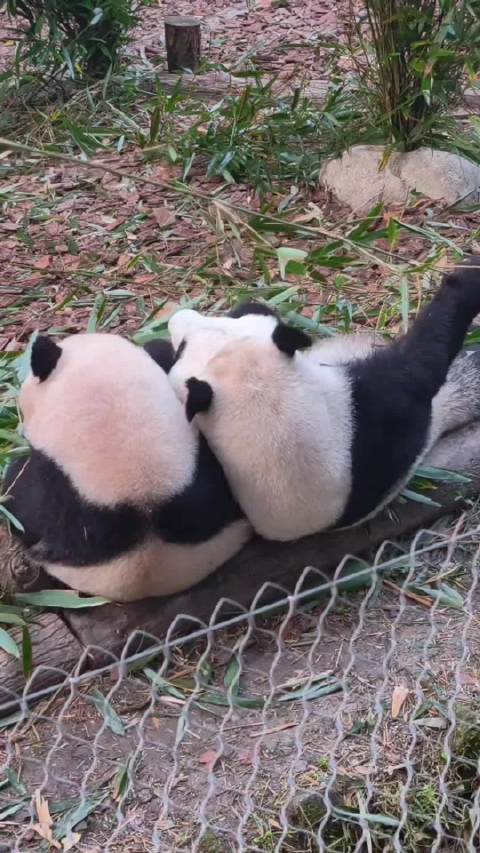 紧紧依偎着我的姐姐，好幸福