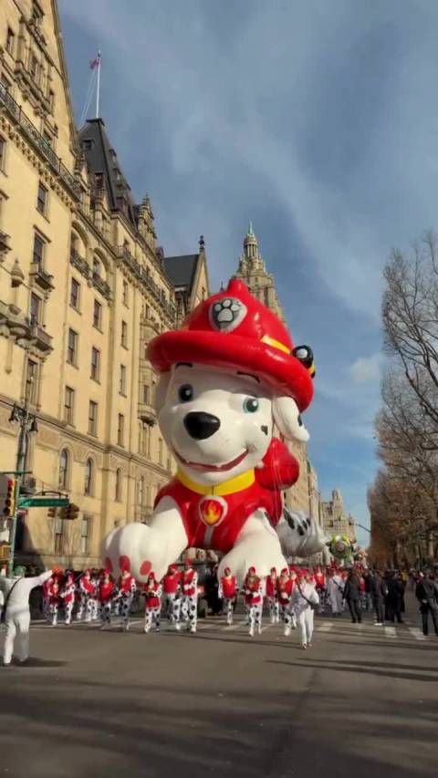 有没有人准备好一块和花车一样大的狗狗零食？
