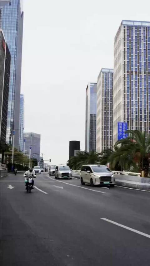 埃尔法与魏牌高山同框对比，智能舒适体验成焦点