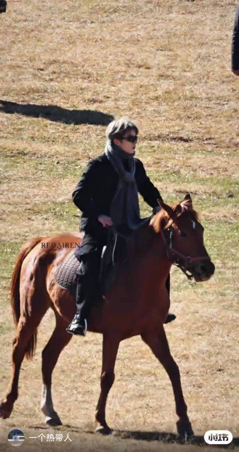 一看到孩子这么会骑马就想到那个什么人 吴京你想想办法啊