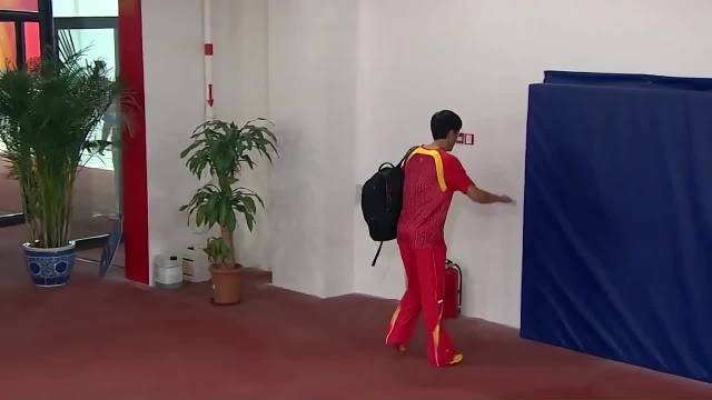 刘翔带伤退赛引关注，运动员伤痛成职业遗憾