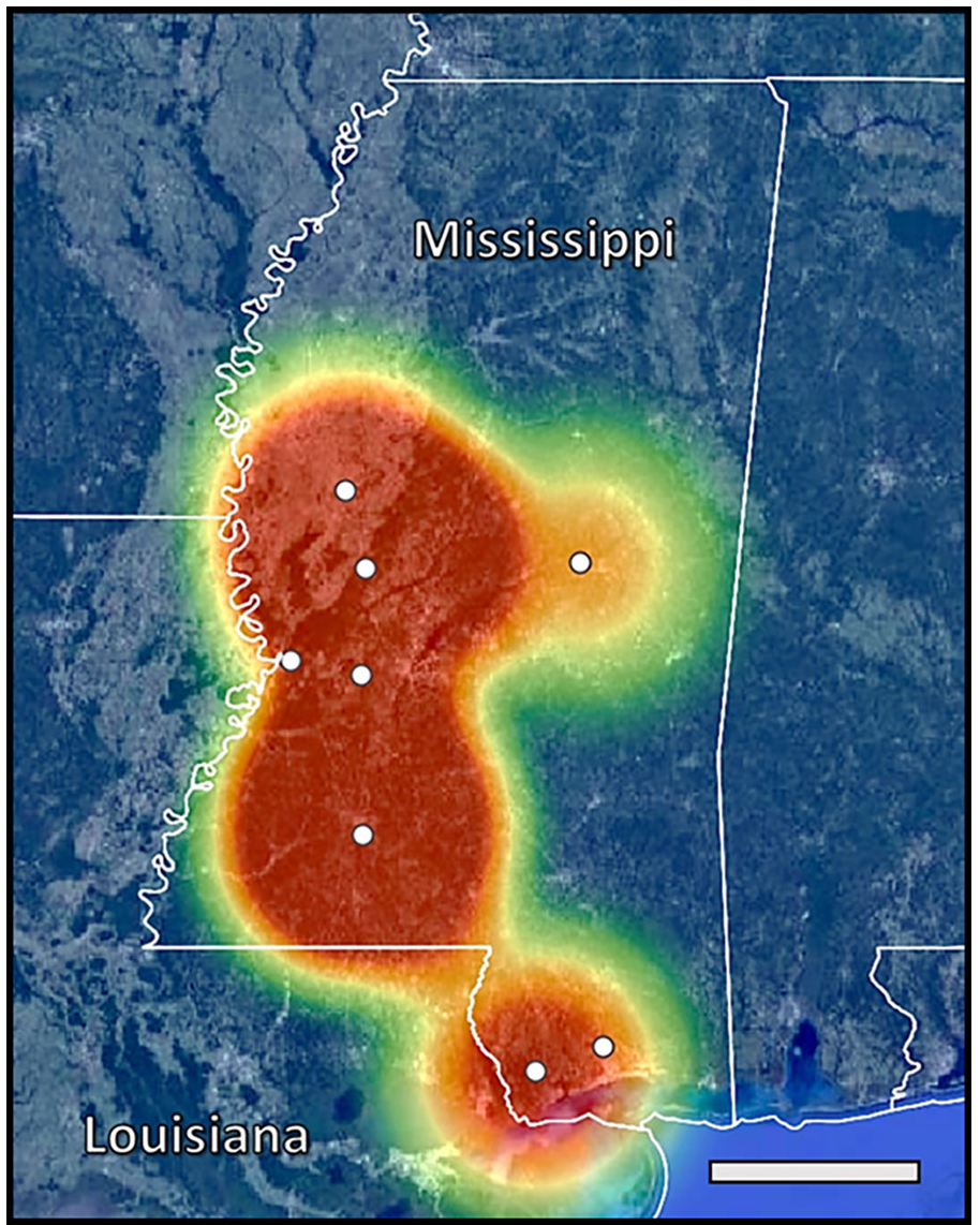 现实版生化危机？密西西比州“浣熊”警报，发现可致人严重脑膜炎的浣熊寄生虫