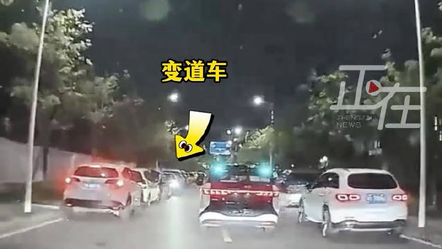 现在谁家的量产车的辅助驾驶能做到这个避让水平