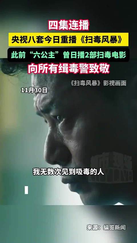 央视八套重播电视剧扫毒风暴