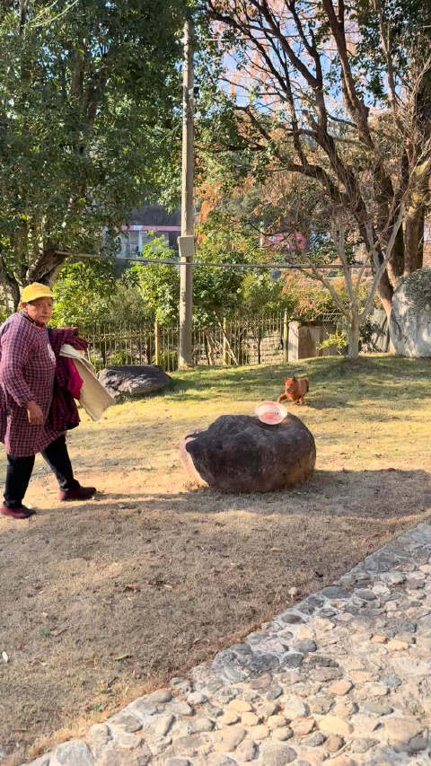 快乐布布 还有一个在别人待着不回家的黑豹