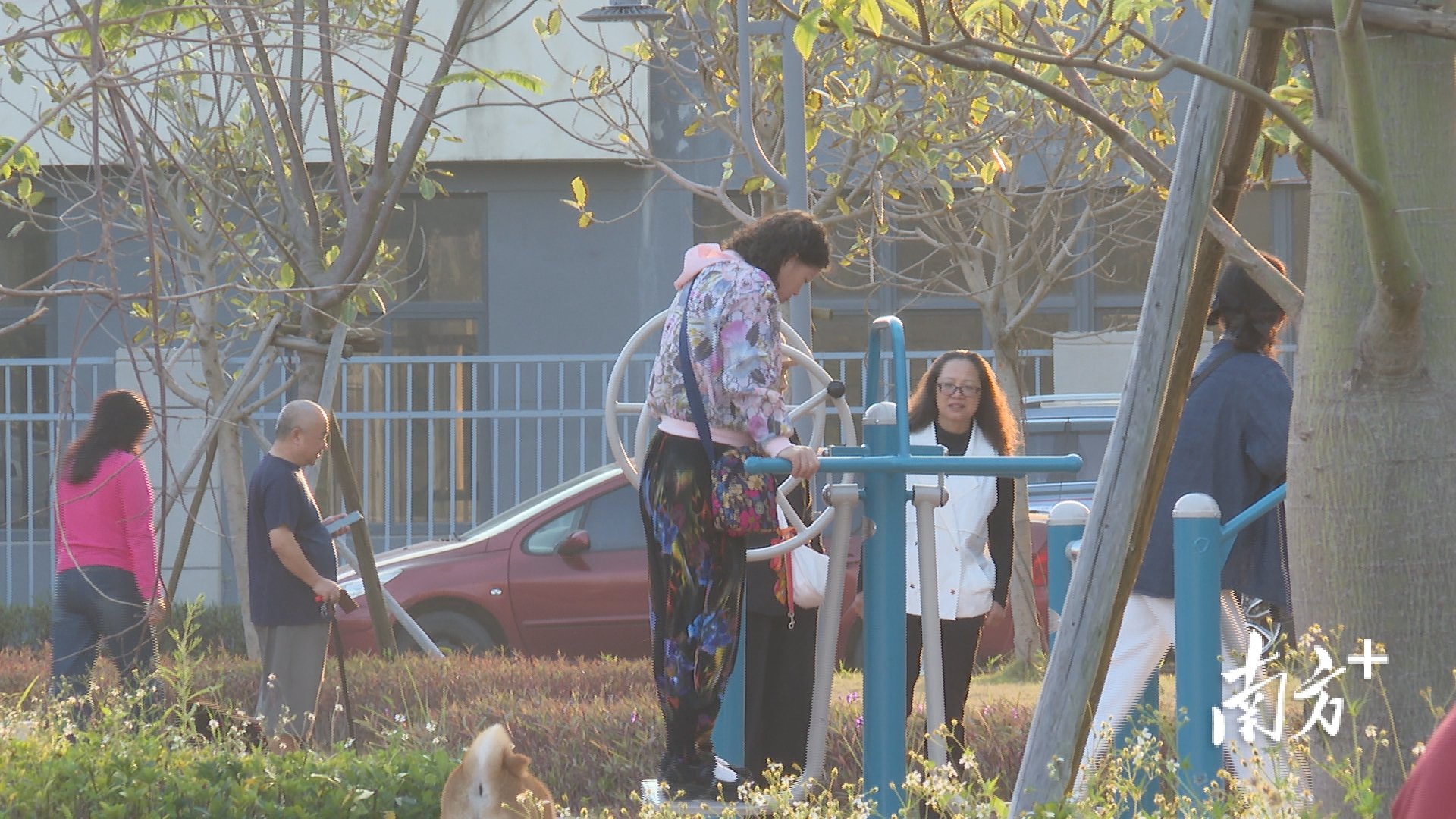 旅居为什么选阳西沙扒？暖阳海风+医保直报，“房车党”住到不想走