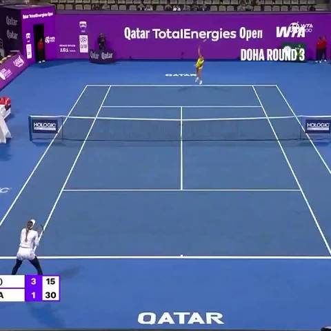 萨巴伦卡与布林科娃对吼引热议