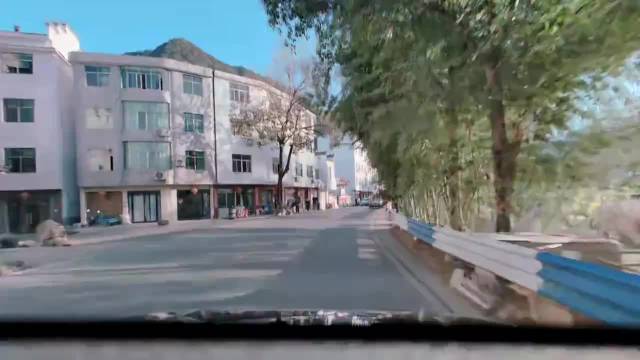 这些车，想通颜色的轿跑，为啥同时打着双闪？