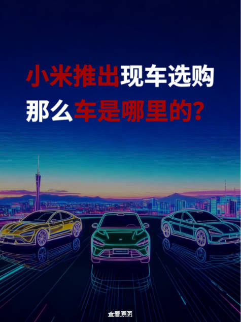 一车难求的小米推出“现车选购”那么这些车又是哪来的？