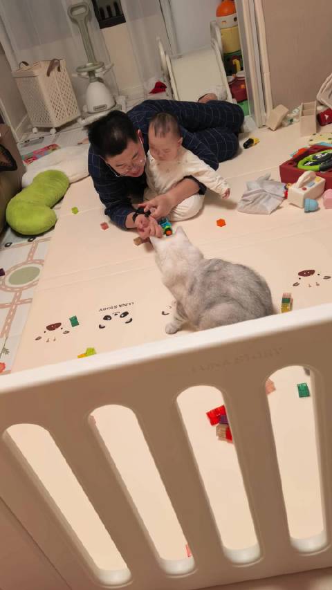 半夜不睡觉的崽