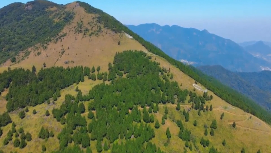11人驾驶越野车，擅入广西自然保护区！将面临行政处罚