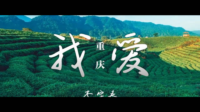 李宇春献唱《我爱》致敬治沙人10万株玫瑰绽放