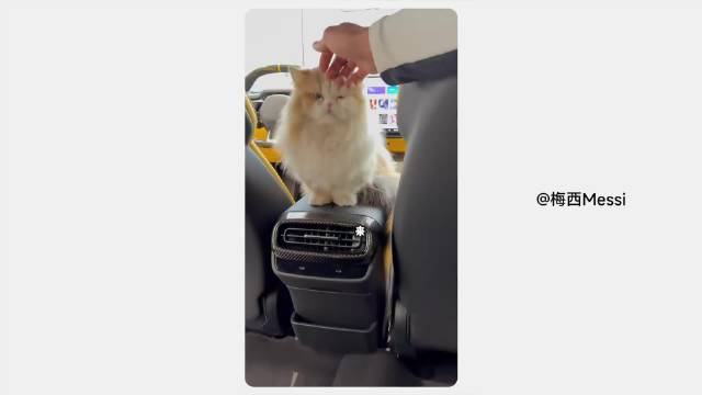 小米汽车交付破50万辆，创中国品牌最快纪录