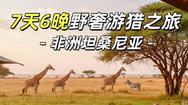 坦桑尼亚7天6晚野奢游猎，乘越野车观动物大迁徙