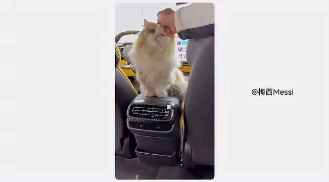 小米汽车交付破50万辆，SU7、YU7双车战略获市场认可