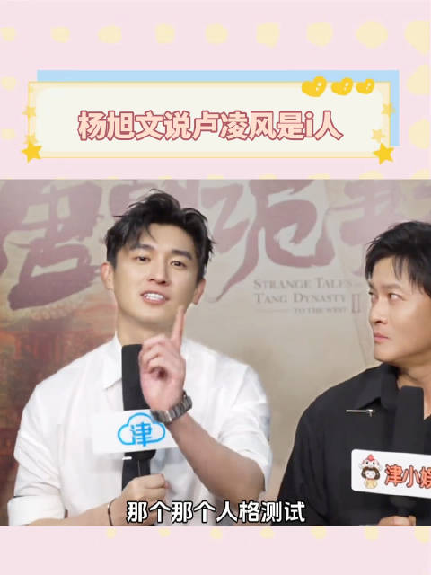 杨旭文称卢凌风为i人，与杨志刚组e人组合