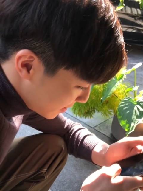 陈立农青春为名全球巡回演唱会 喵咪