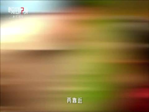 霍建华朱珠新剧诠释成熟爱情观，双向治愈引共鸣